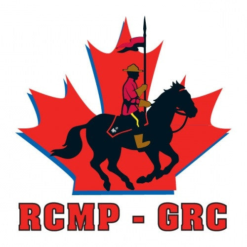Sticker to car silhouette rider on horse expert Vector Image